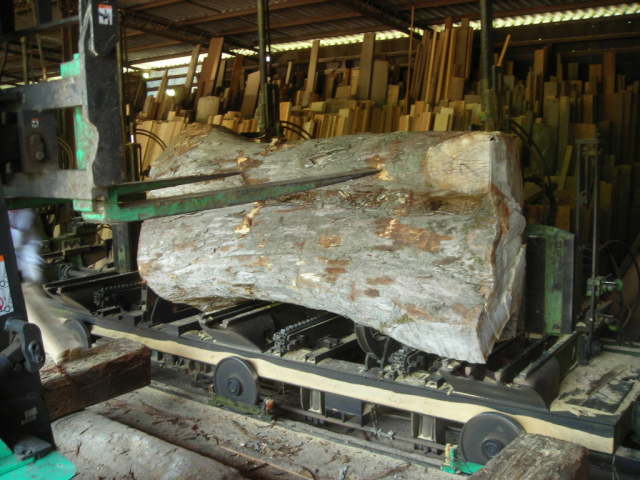 素材の製材 自然木販売 木の看板 一枚板看板 銘木看板 木製看板 木彫看板 自然木工房